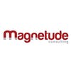 Magnetude Consulting